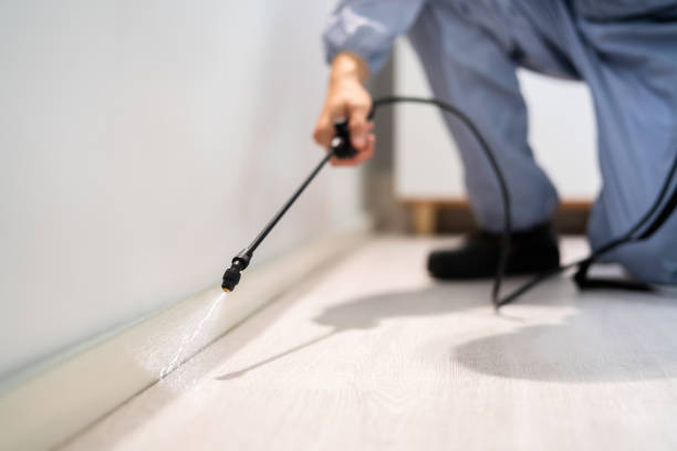 Bed Bug Pre-Treatment Preparation Assessment in West Loch Estate