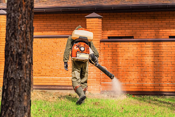 Bed Bug Clearance Verification and Documentation in West Loch Estate